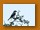 Schwarzstirnwürger | Lesser Grey Shrike | Lanius minor