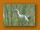 Mittelreiher; Intermediate Egret; Egretta intermedia