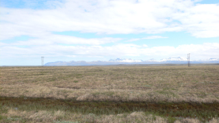Island: Graslandschaft